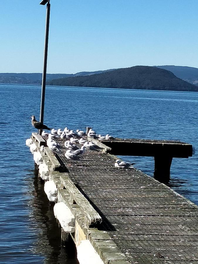 Amberly House Rotorua B&B 외부 사진