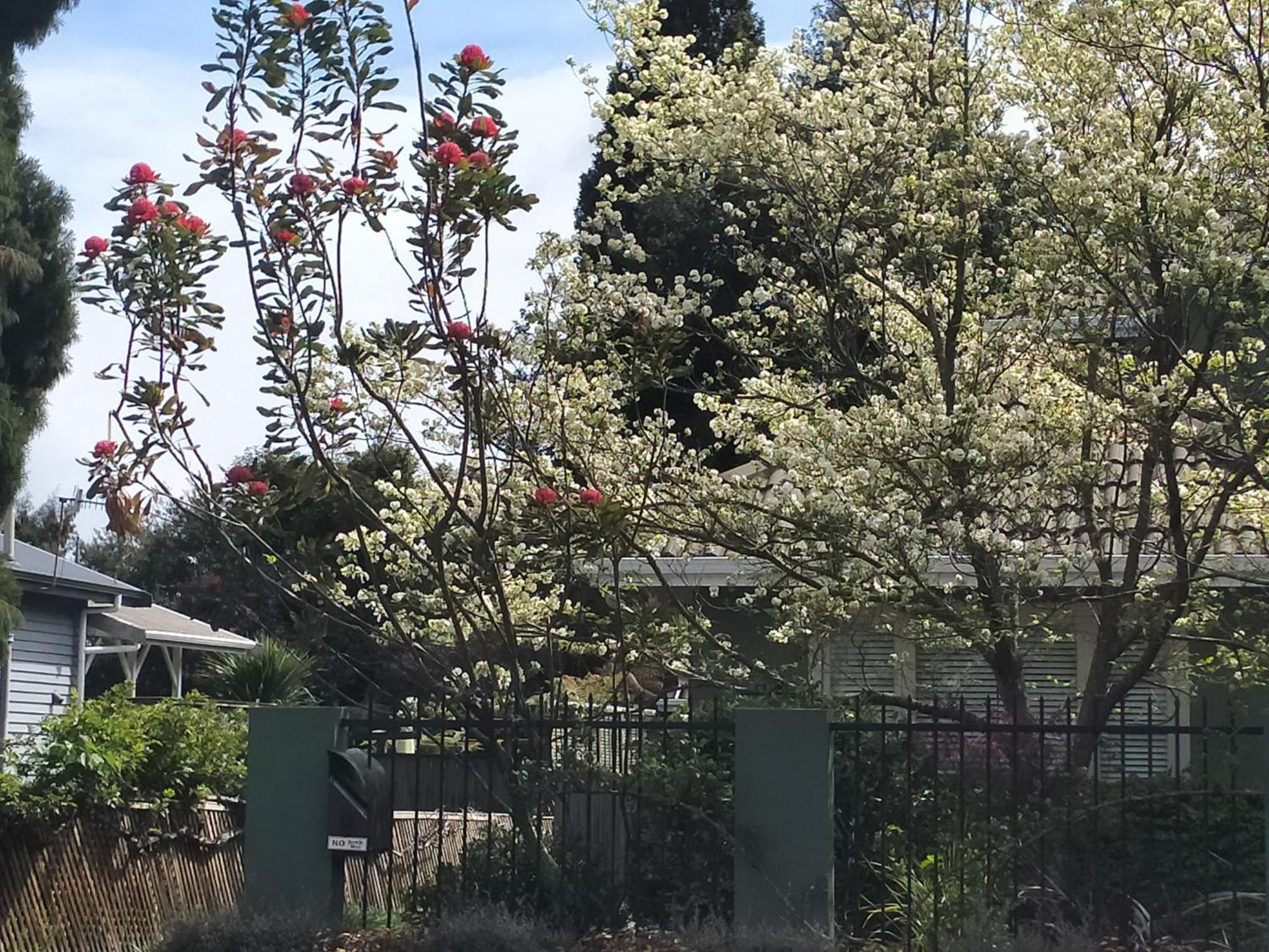 Amberly House Rotorua B&B 외부 사진